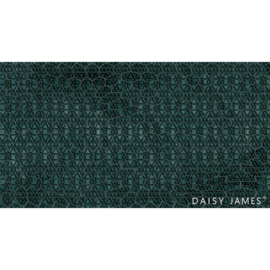 Daisy James THE WEB