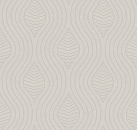 BRODELIA (diverse kleuren)