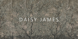 Daisy James THE SONG NO.2