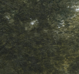 MOUNTAIN FOREST