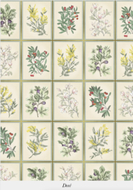 HERBIER (2 kleuren)