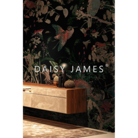 Daisy James THE WATERFRONT black