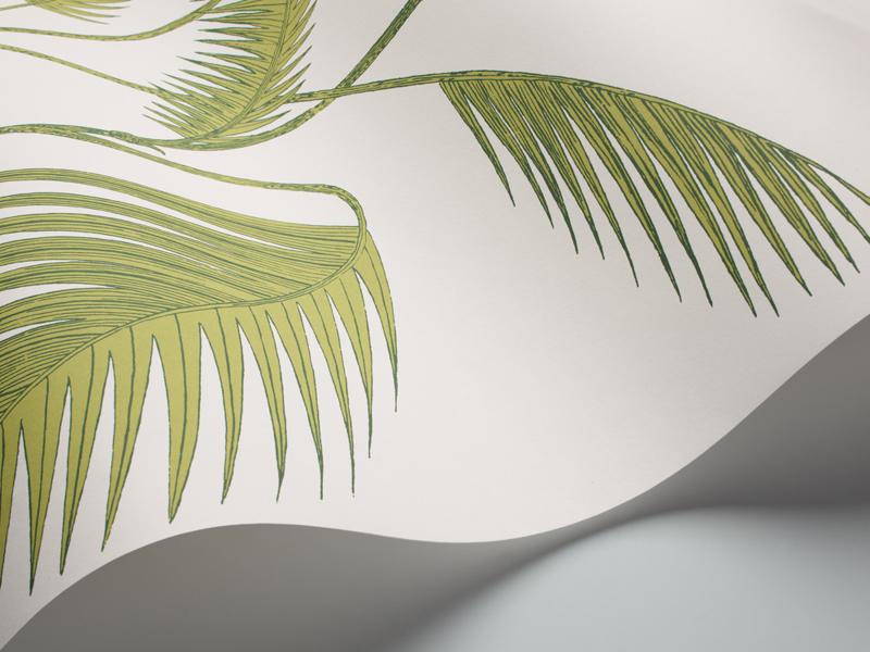 Contemporary Collection PALM LEAVES (5 colors)