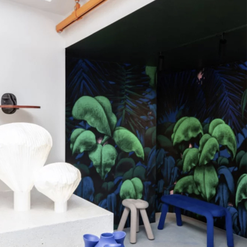 Domestic Wallpaper Murals