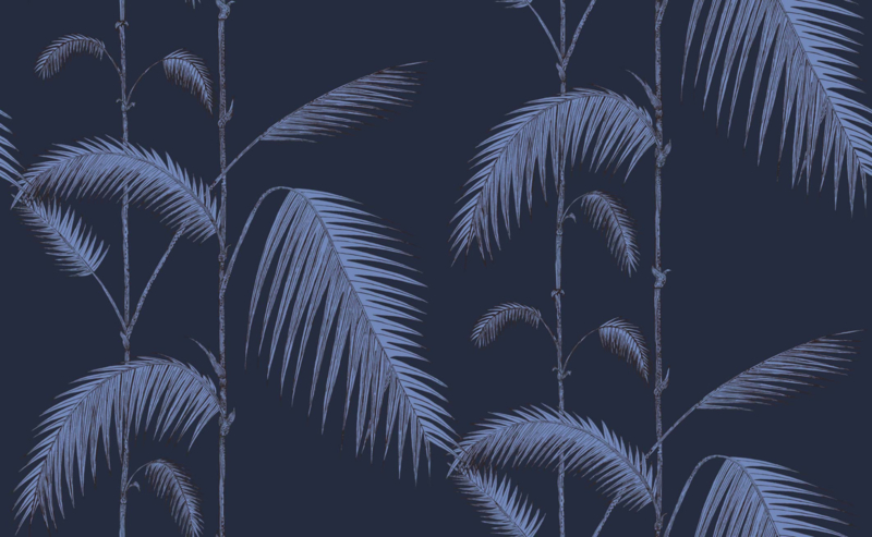 Icons PALM LEAVES (4 colors)