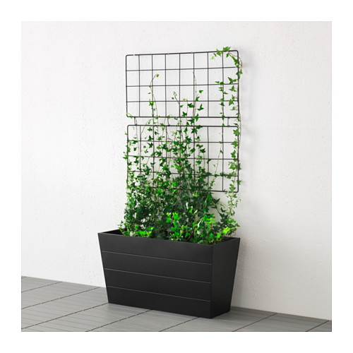 barso trellis ikea