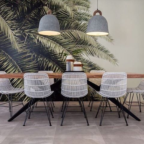 rebel walls design wallpaper palms