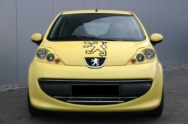 RVS Grille Peugeot 107