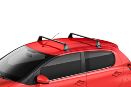 Allesdragers Citroën C1 5 deurs