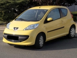 RVS Grille Peugeot 107