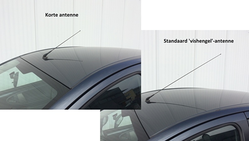 Korte antenne Peugeot 107 | | CityBugParts