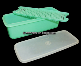 Tupperware Fresquita. Contenedore de apio. Verde