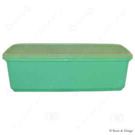 Vintage Tupperware Selleriebehälter, Gemüsebox, Brotbox, Aufbewahrungsbox in Jadefarbe - Easy Crisp