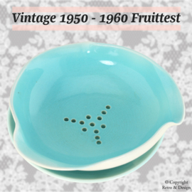 Een Tijdloos Juweeltje: Vintage Aardewerk Fruittest uit de Jaren 50-60!