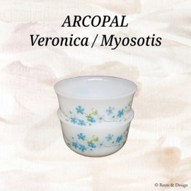 Arcopal Veronica / Myosotis, Ramekin