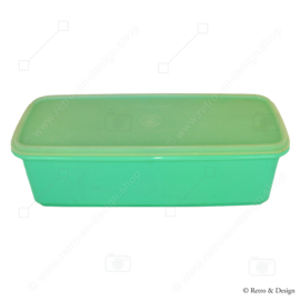 Contenedor de apio Tupperware vintage, caja de verduras, caja de pan, caja de almacenamiento en color jade - Easy Crisp