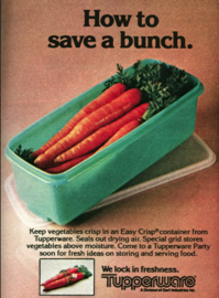 Vintage Tupperware Selleriebehälter, Gemüsebox, Brotbox, Aufbewahrungsbox in Jadefarbe - Easy Crisp