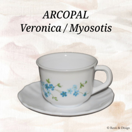 Arcopal Veronica, kop en schotel