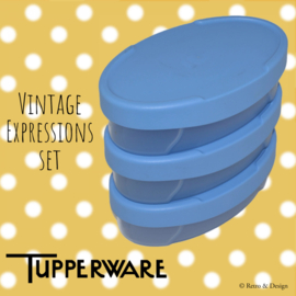 Vintage Tupperware Expressions Set aus ovalen blauen Vorratsbehältern, dreiteilig