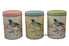 Serie completa antigüedades/vintage latas de aves hechas por 'De Gruijter'