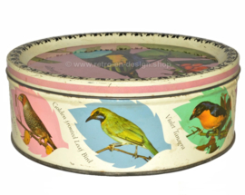 Boîte à bonbons vintage rare faite par Mackintosh avec des images de divers oiseaux chanteurs