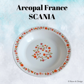 Soup plates or soup plates from Arcopal France with Scania decor Ø 21.8 cm