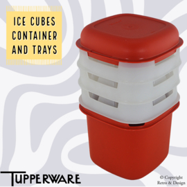 Vintage Tupperware Ice Cube Maker : Ustensile Pratique et Rétro pour Des Glaces Élégantes
