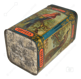 Vintage candy tin for toffees (Fudge) by Van Melle with various images of ornamental birds such as the Bird of Paradise, Ara and Peacock