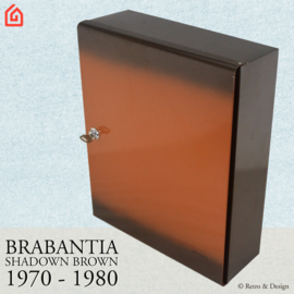 "Nostalgic and Functional: Discover the Vintage Medicine Cabinet by Brabantia!"