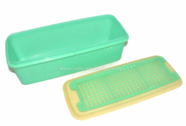 Vintage Tupperware Selleriebehälter, Gemüsebox, Brotbox, Aufbewahrungsbox in Jadefarbe - Easy Crisp