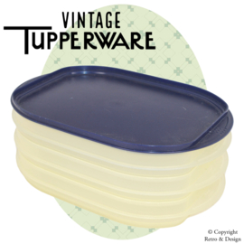 Entdecken Sie diese Vintage-Tupperware Cold Cuts Boxen: Eine Zeitreise!
