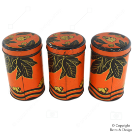 Boîtes de Rangement Vintage des Années 1930 – Élégance Intemporelle pour le Café, le Sucre et le Thé