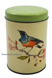 Vintage lata estaño por "De Gruijter" con pájaro azul / naranja, tapa verde