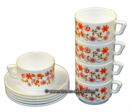 Arcopal France Scania Taza y plato