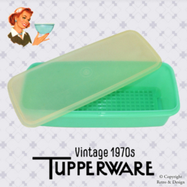 Vintage Tupperware celery container, vegetable box, bread box, storage box in jade colour - Easy Crisp