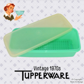 Vintage Tupperware Selleriebehälter, Gemüsebox, Brotbox, Aufbewahrungsbox in Jadefarbe - Easy Crisp