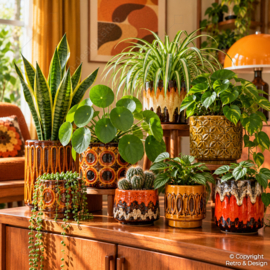 Top 10 des plantes d’intérieur rétro des années 60 et 70