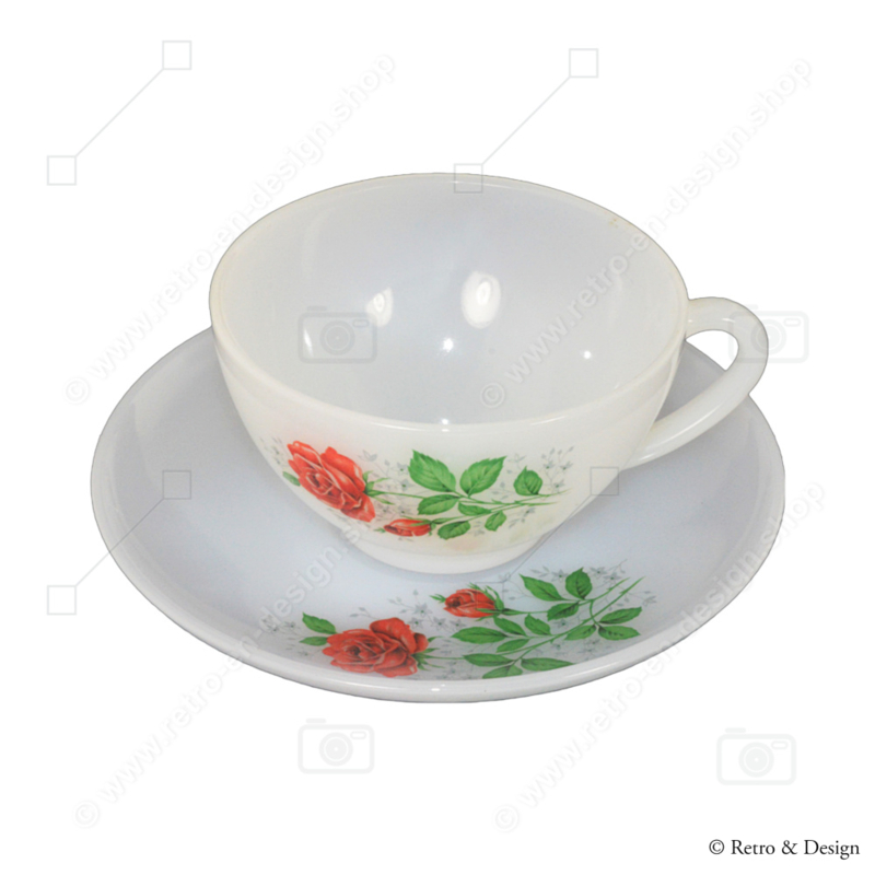 Cup and saucer Arcopal France, with Rose de France pattern