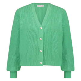 vest Indi green