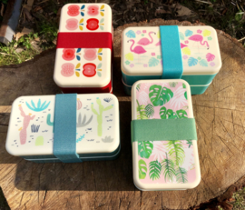 Bentobox retro appels