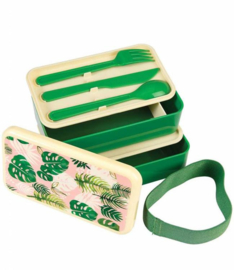 Bentobox tropische palm