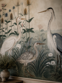 LES OISEAUX DE L’AUBE