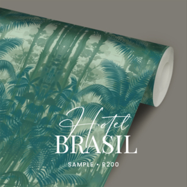 Hotel Brazil