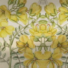 PERKY FLOWERS