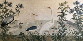 LES OISEAUX DES MARAIS