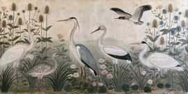 LES OISEAUX DE L’AUBE