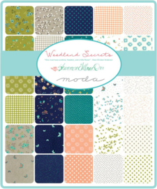 Woodland Secrets by Shannon Gillman Orr for Moda Fabrics