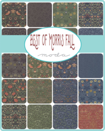 Best of Morris Fall