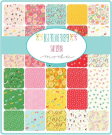 Best Friends Forever by Stacy Iest Hsu for Moda Fabrics