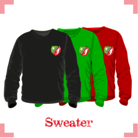 Sweater junior - Lebo